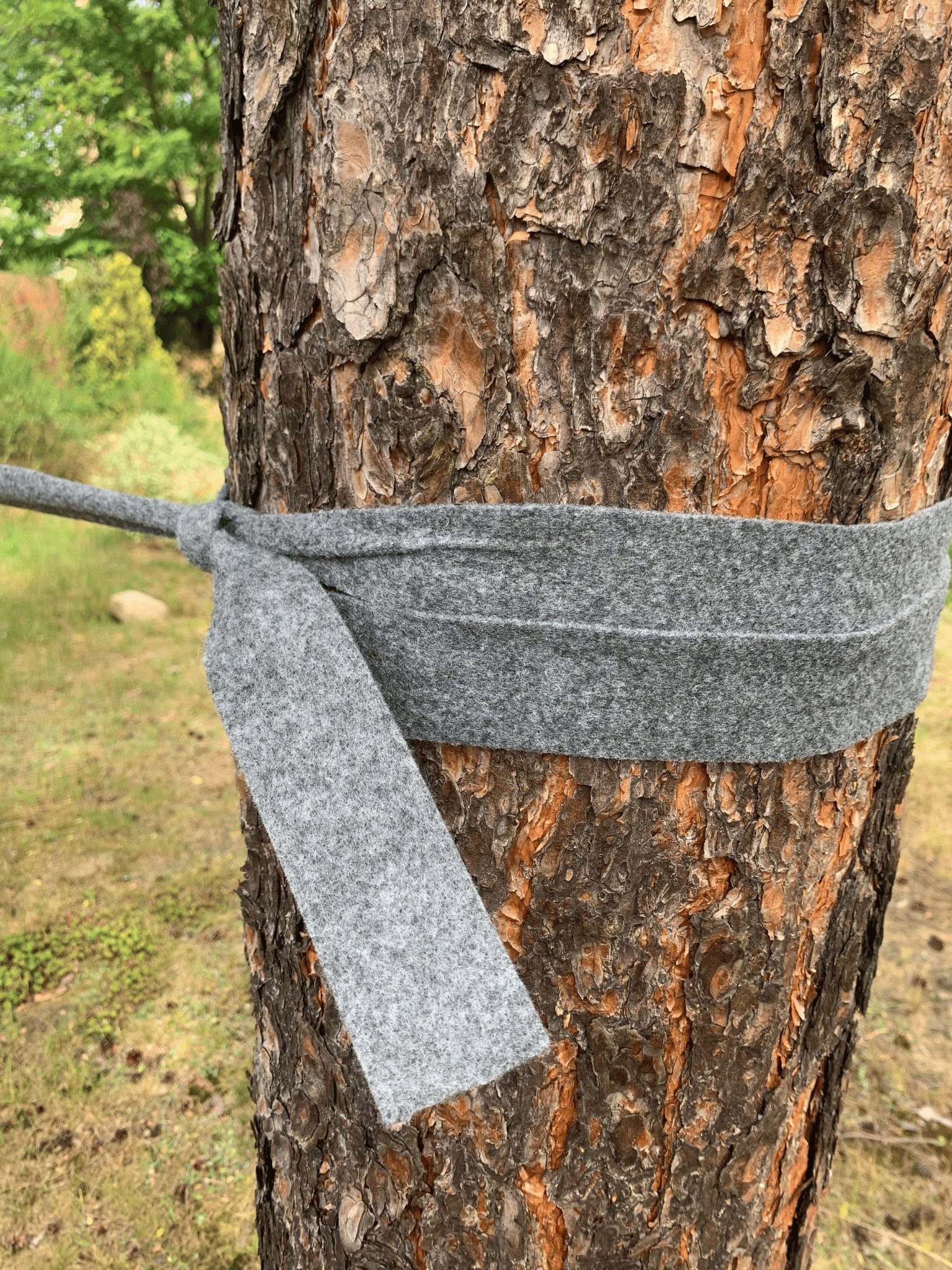 Felt gardening tape for fixing trees, width 5 cm roll 25 m Product height 5 cm