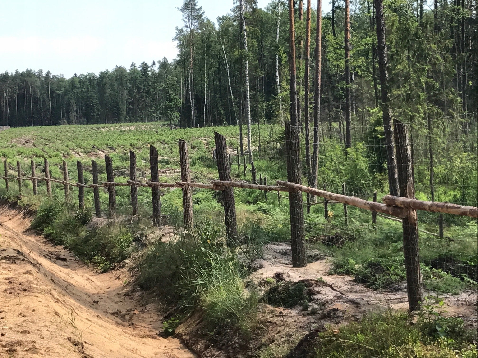 Fence NET FOREST L 150/10/30 + skoble 25m Length 25 m