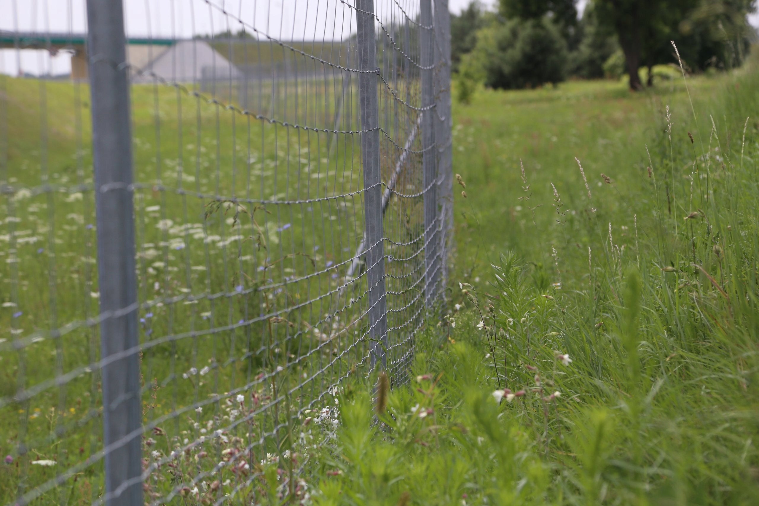 Fence NET FOREST L 150/10/30 + skoble 50m Height 1.5 m