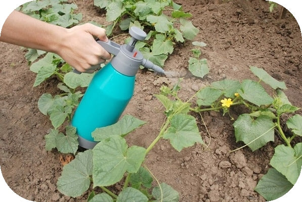 Fertilizer FLOROVIT Liquid Multicomponent Universal for Garden Canister 5,5kg Manufacturer code 4058