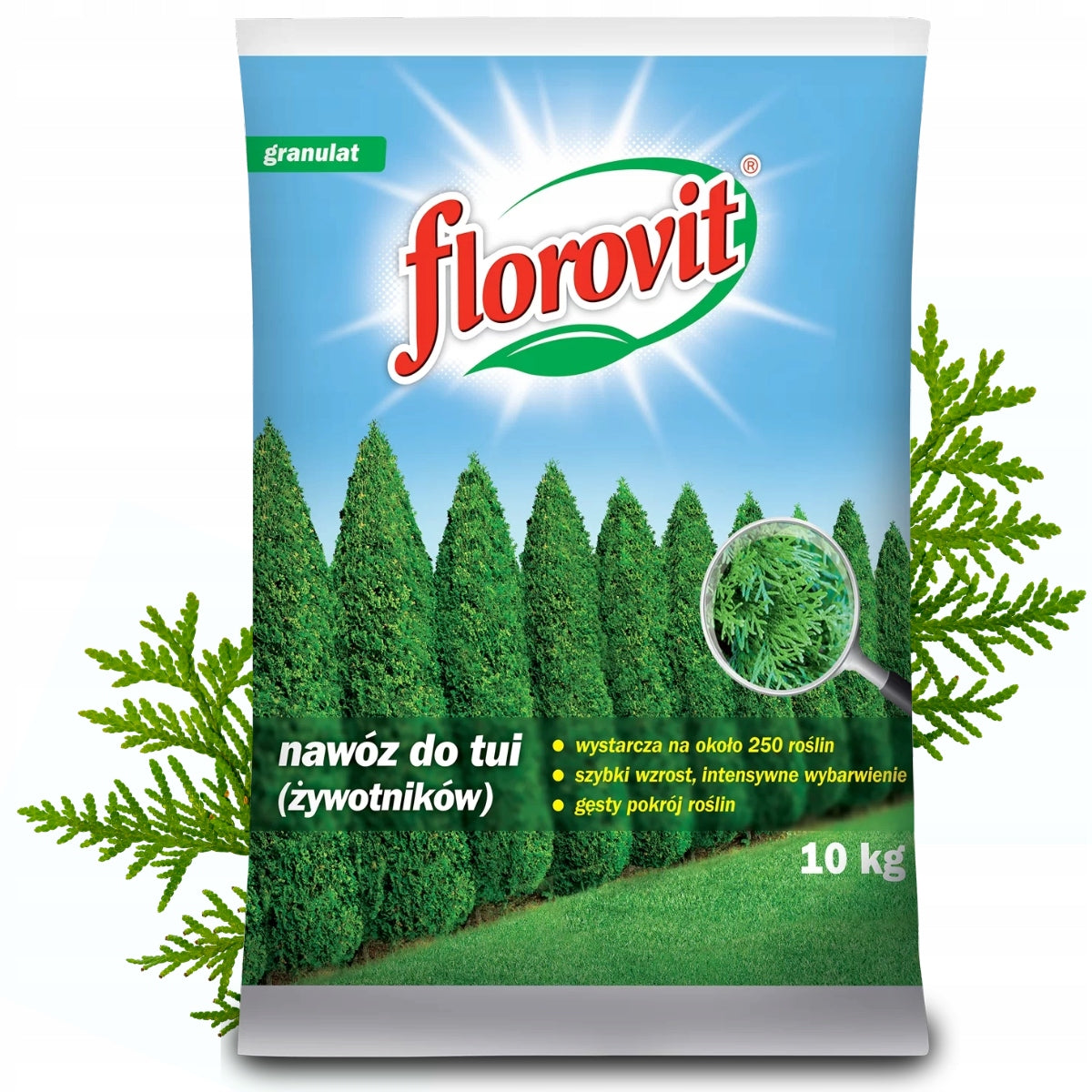 Fertilizer for Tuji Livers Conifers Florovit 10kg