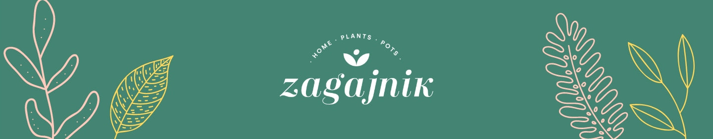 Fertilizer for green and flowering plants EAN (GTIN) 5903313561129
