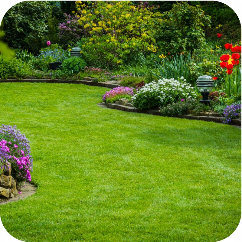 Fertilizer for lawns FAST EFFECT 5kg Florovit Manufacturer code nawóz do trawy trawnika traw SZYBKI EFEKT