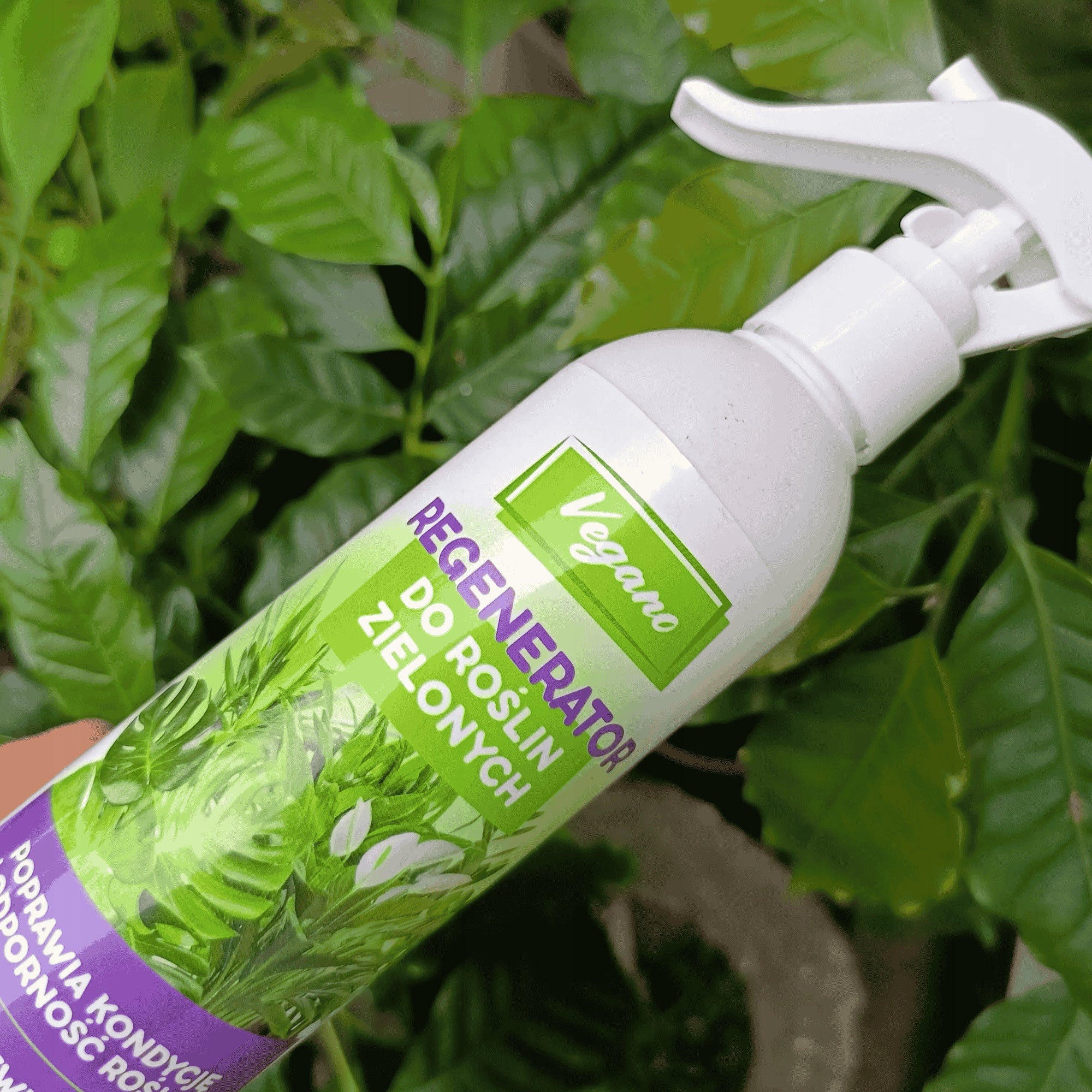 Fertilizer for potted green plants spray regenerator Vegano 300 ml Manufacturer code 5903772177633