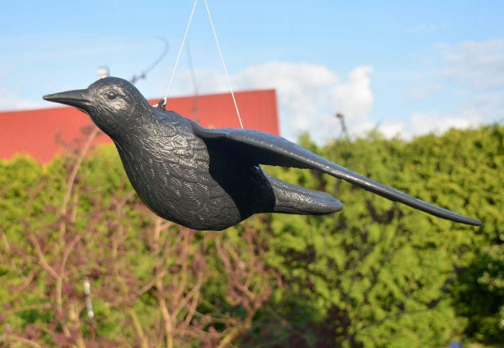 Figurine Raven Large Bird Scarecrow Pigeon Woodpecker Starling Packaging status original
