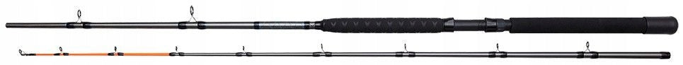 Fishing Rod DAM Salmonizer Planer 2,40m 20-35lb