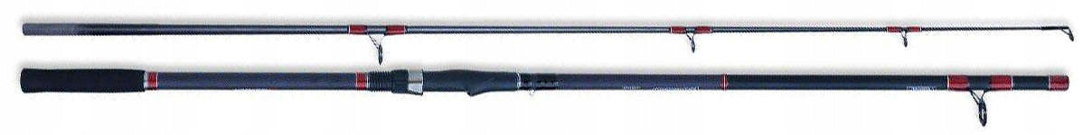 Fishing Rod Robinson Carbonic Baltic Pilk 3,00m, 100-300g Brand Robinson