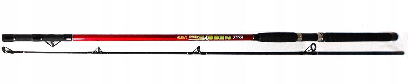 Fishing Rod SEA NESS 2,4 m. c.w.-100-250 gr. Brand Kaida