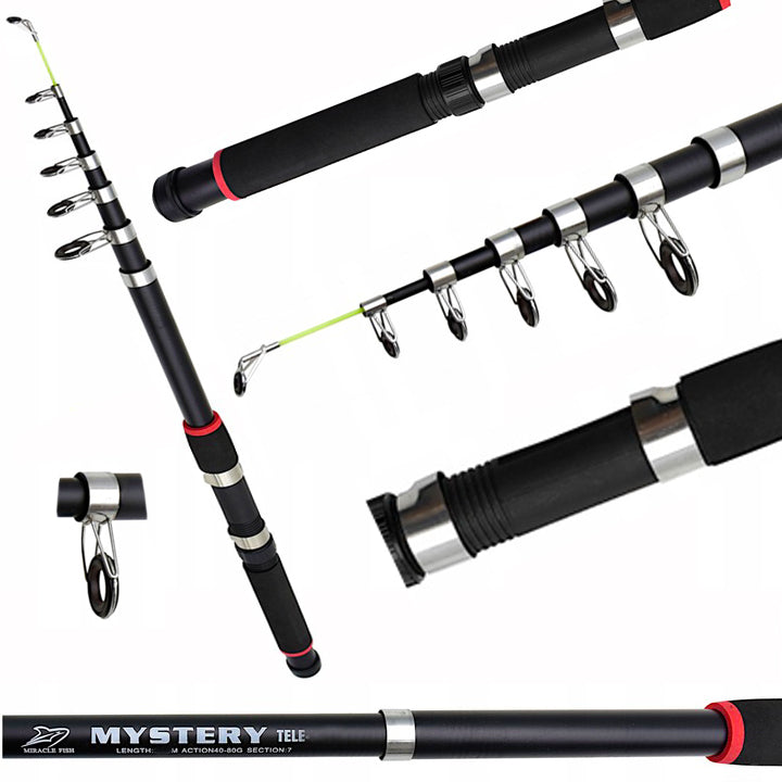 Fishing set 2 rods TR CL 300 reels with fishing line landing net cover Manufacturer code FHZ2WED30KCZ