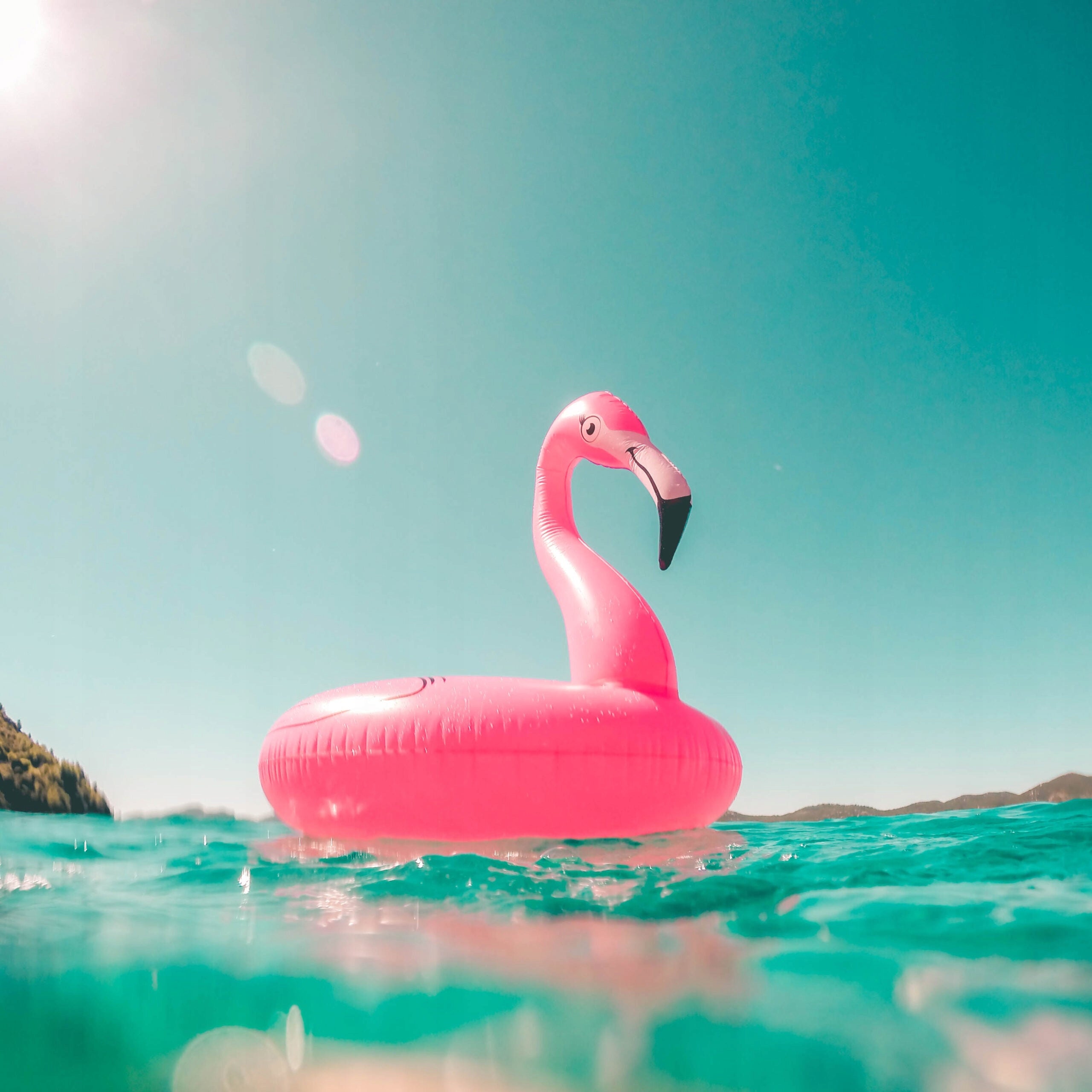 Flamingo Inflatable Wheel for Kids EAN (GTIN) 0617722322794
