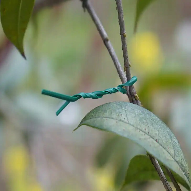 Flat garden wires, green 10 cm 500 pcs. Number of pieces 500 pcs