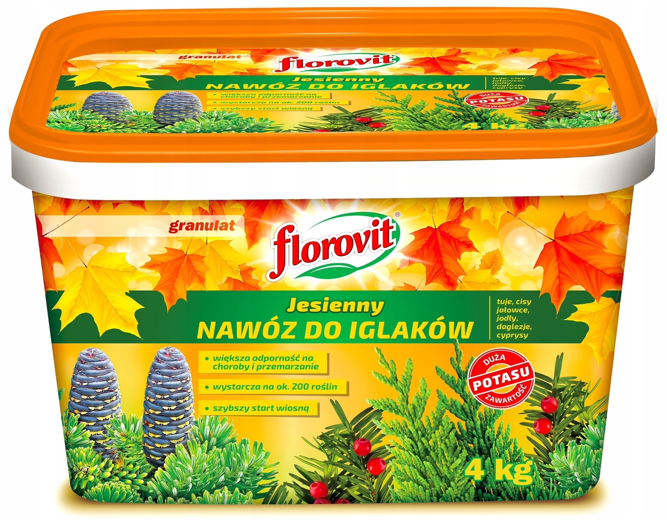Florovit Autumn Fertilizer For Conifers 4kg Bucket Granules Potassium Start Spring Manufacturer code 5900498016390