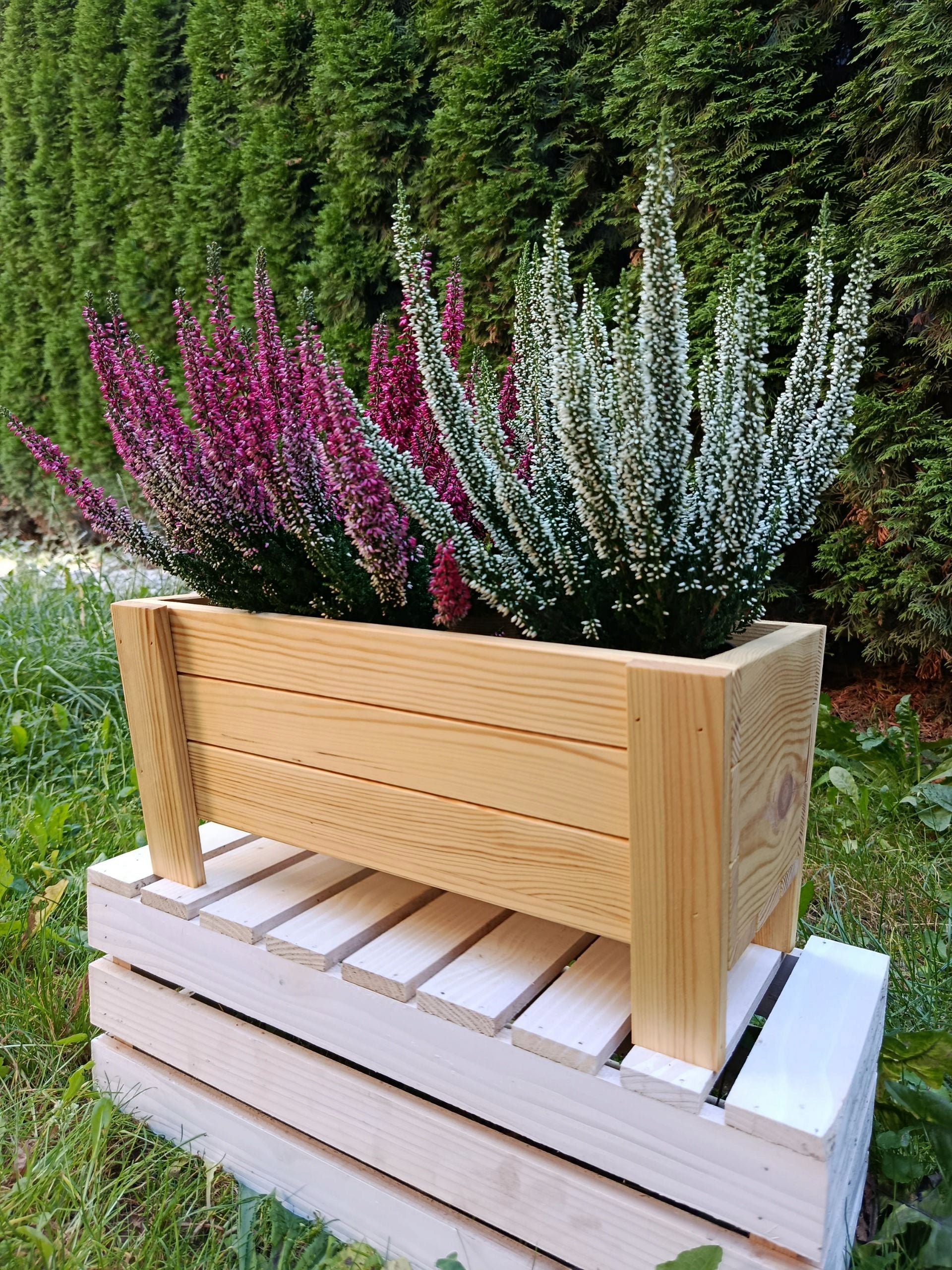 Flower Box Wooden Garden Vegetables Balcony ECO Manufacturer Product width 20 cm