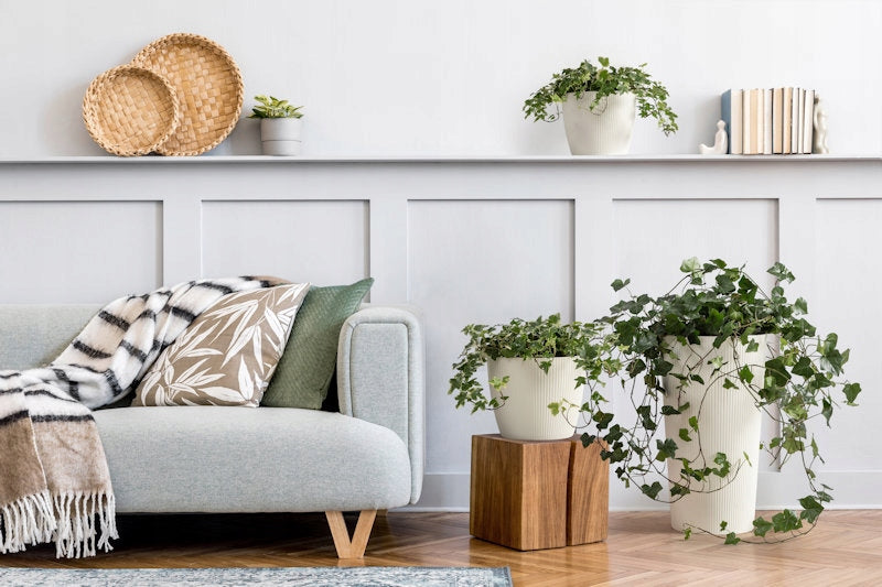 Flower Pot MAGNOLIA ECO wood 220 jumper - forest green Brand Lamela