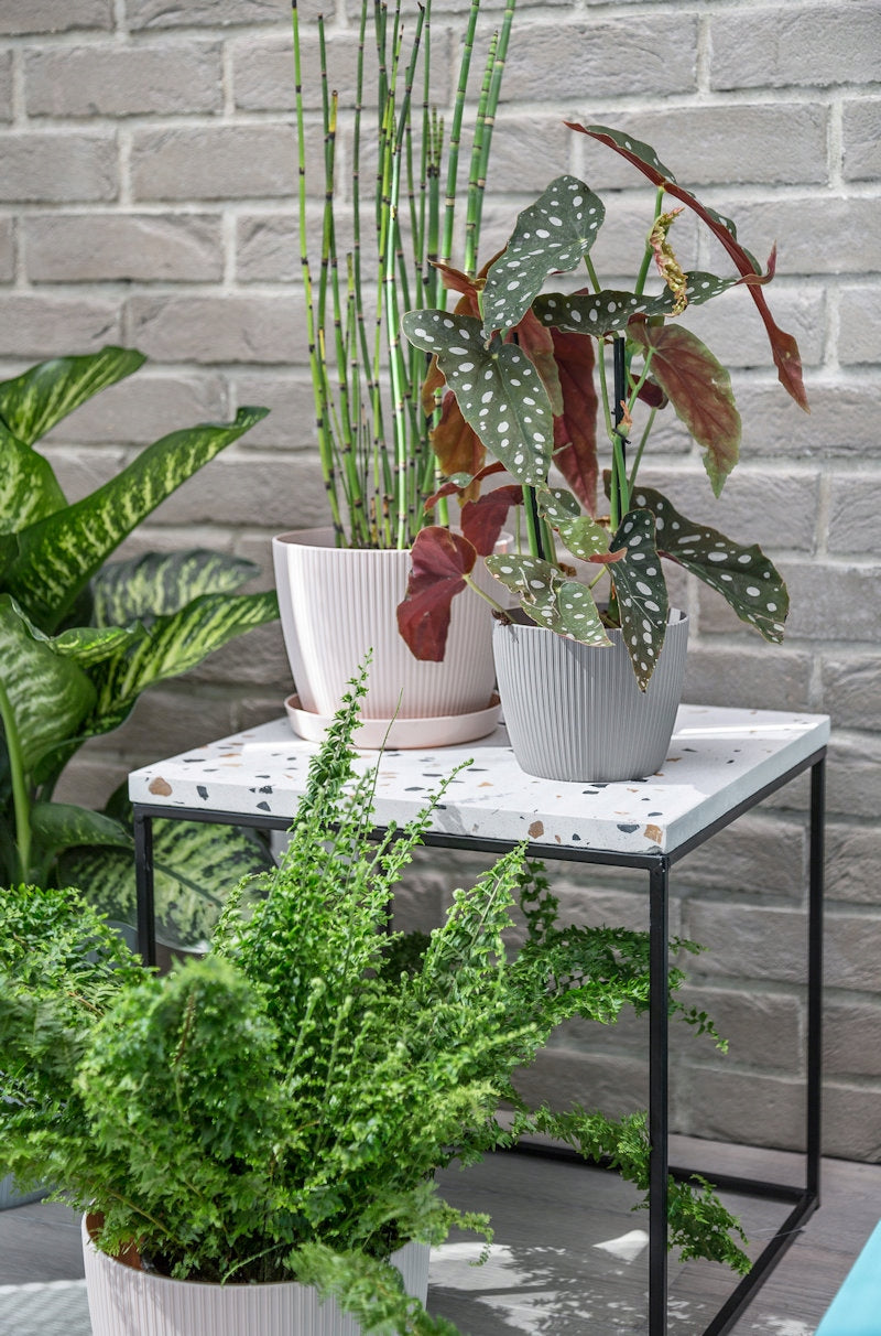 Flower Pot MAGNOLIA ECO wood 220 jumper - forest green Color green