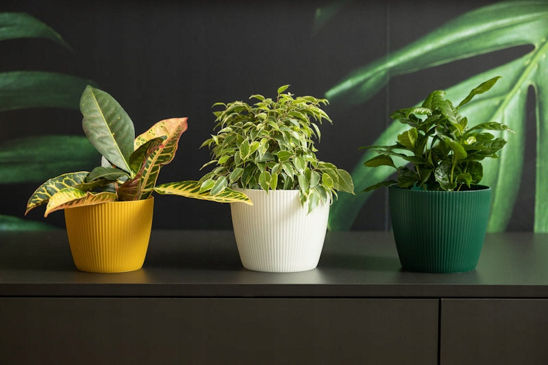 Flower Pot MAGNOLIA ECO wood 220 jumper - forest green Manufacturer code 871-42