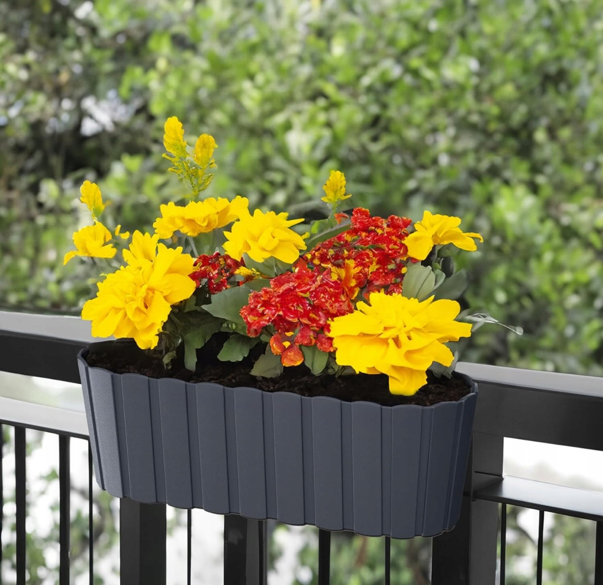 Flower pot OVAL BALCONY FOR RAILING HOOKS anthracite BOX Brand Martom
