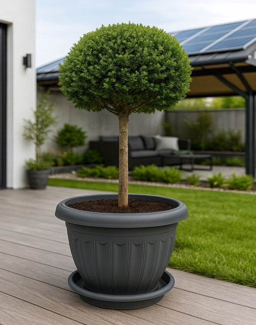Flower pot Rhodes Ø40 cm + Stand - Large planter - 5 colours - Rekpolplast Packaging status original