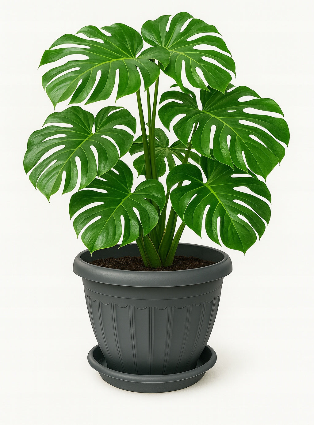Flower pot Rhodes Ø40 cm + Stand - Large planter - 5 colours - Rekpolplast