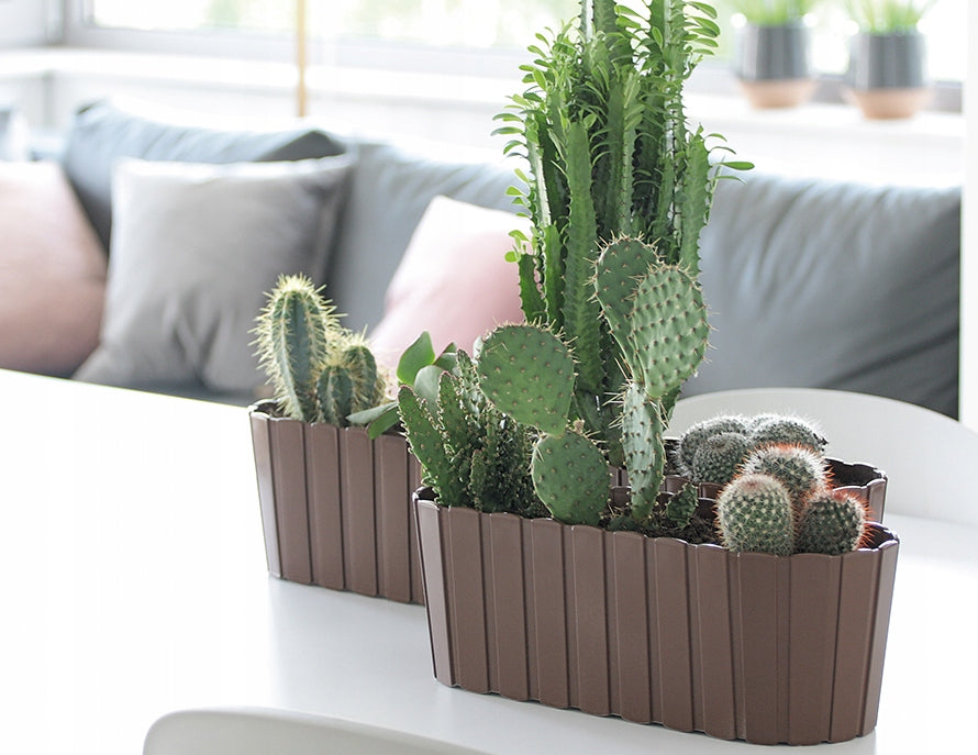 Flower pot plastic white Prosperplast 58,7 cm x 14,4 x 13 cm Product width 14.4 cm