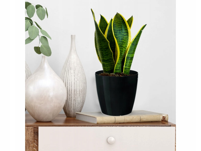 Flowerpot Pot Cover Magnolia Smooth, diameter 25cm Cream Brand Lamela