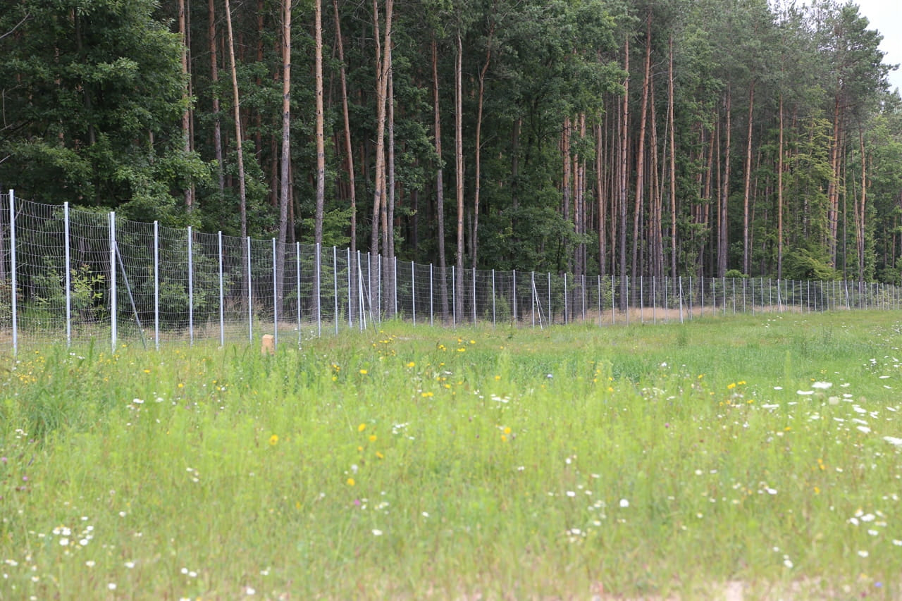 Forest Fence Net L 120/9/30 - 25 mb Manufacturer code L120/9/30-25MB