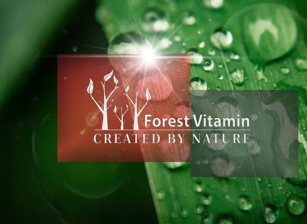 Forest Vitamin - ALCAR L-Carnitine HCL 100g Brand Forest Vitamin