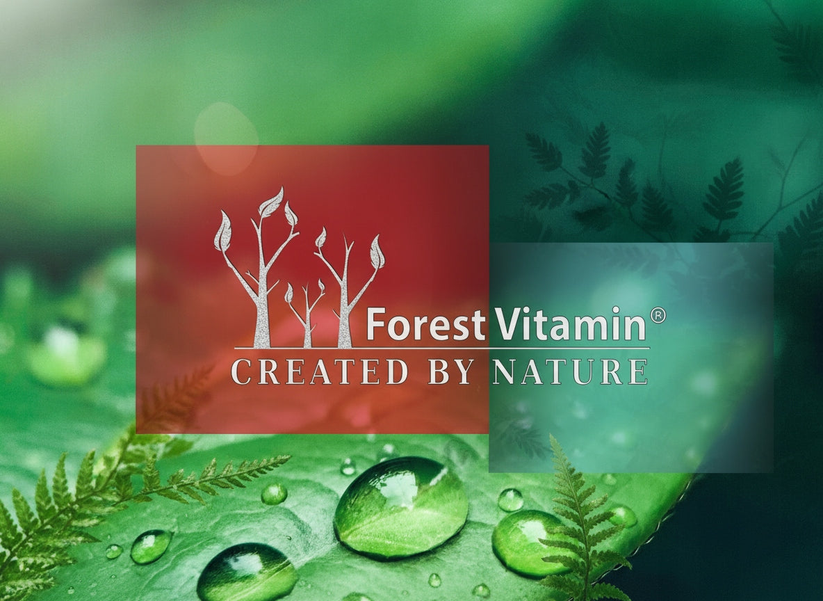 Forest Vitamin - Hydrolyzed Beef Collagen Type 1 and 3 500g Brand Forest Vitamin