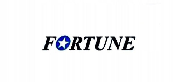 Fortune 225/55R17 FITCLIME -401 101W FITCLIME FSR-401 XL FR ALL-SEASON TYRE Number of tires offered 1 pc.