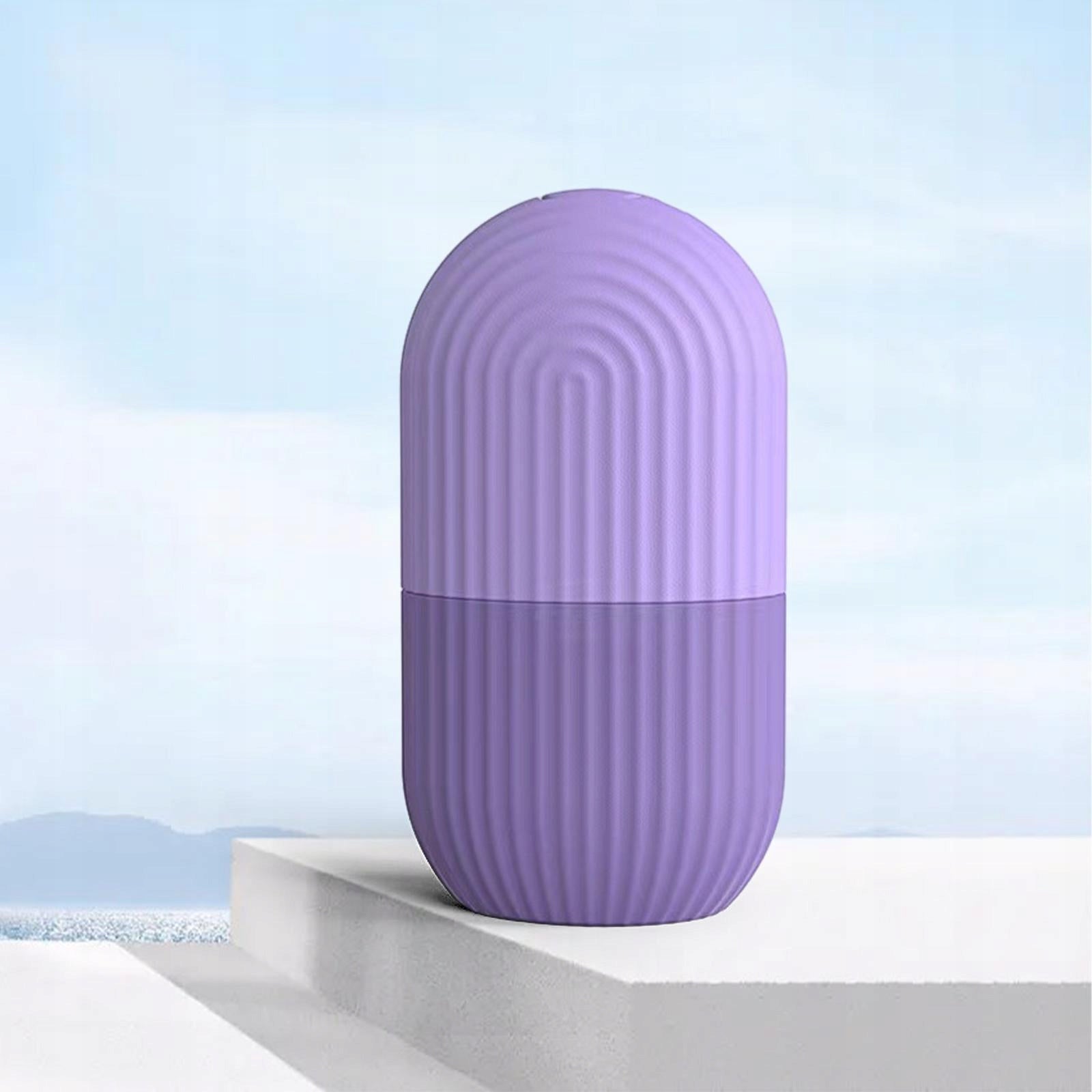 Freezable Face Ice Roller Facial Massager for Ladies Improve Blood Purple Brand no brand