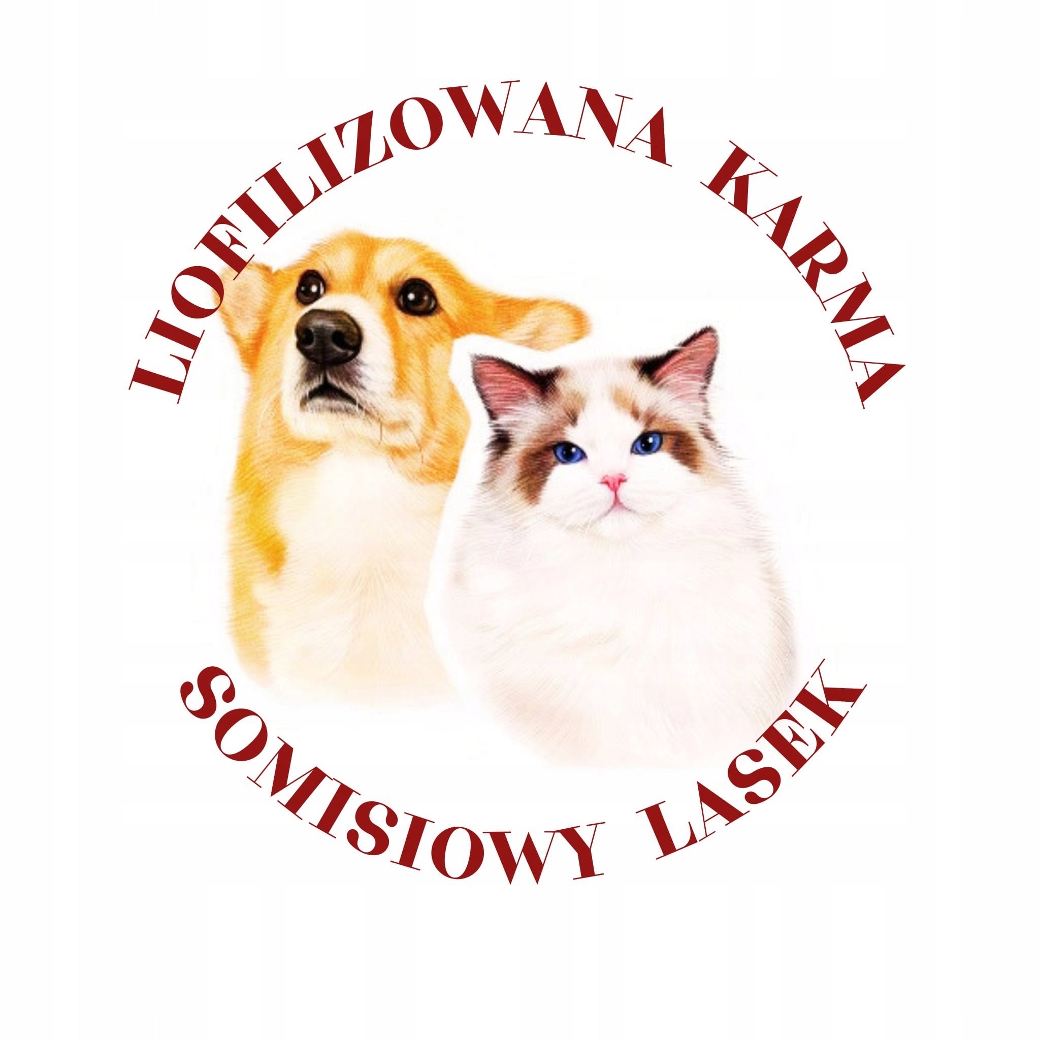 Freeze-dried duck 250 g - Somisiowy Lasek - a treat for cats and dogs Manufacturer code 06