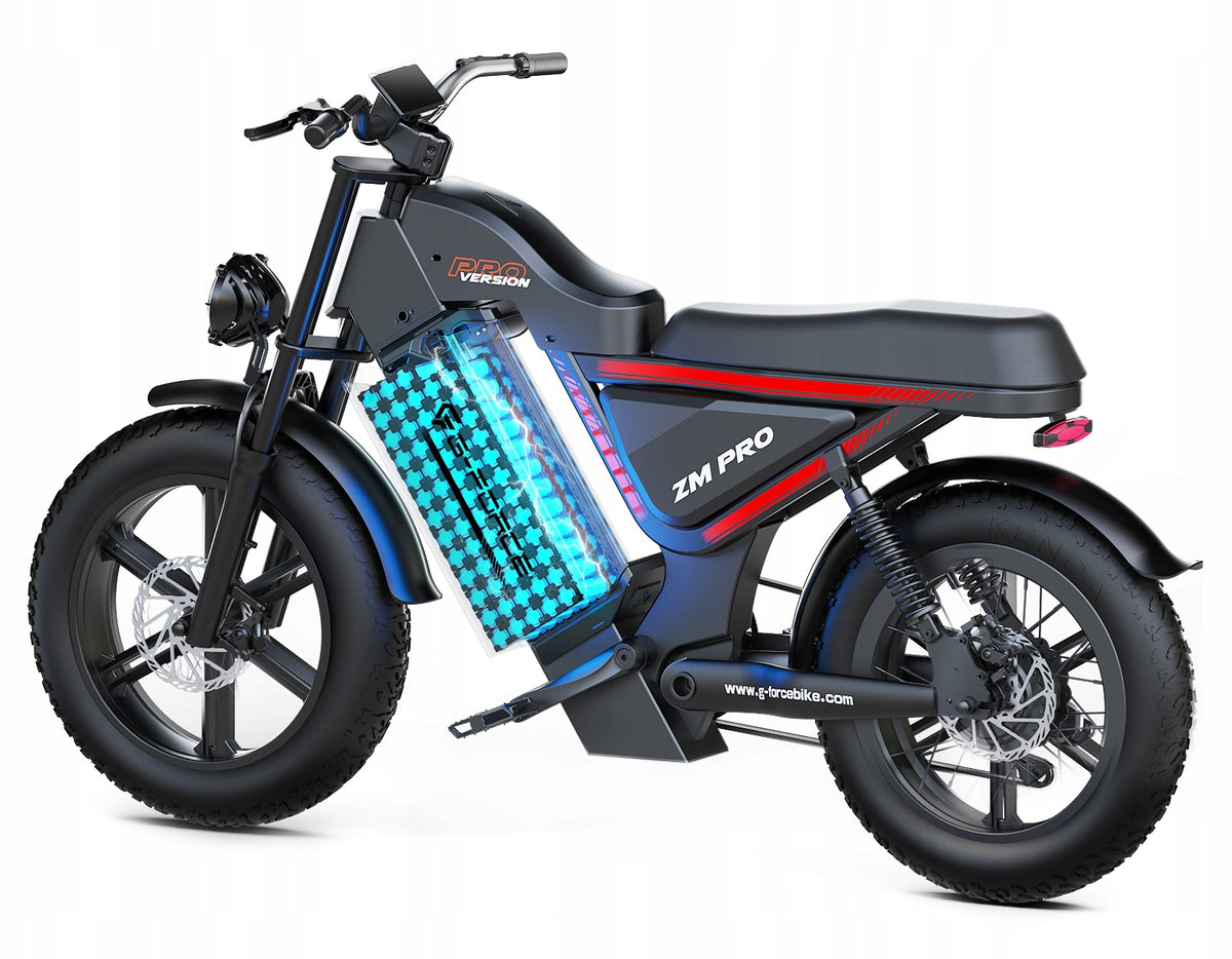 G-FORCE ZM PRO Electric Vehicle 1000W 45KM/H 40AH 200HP Oil Brake Packaging status original