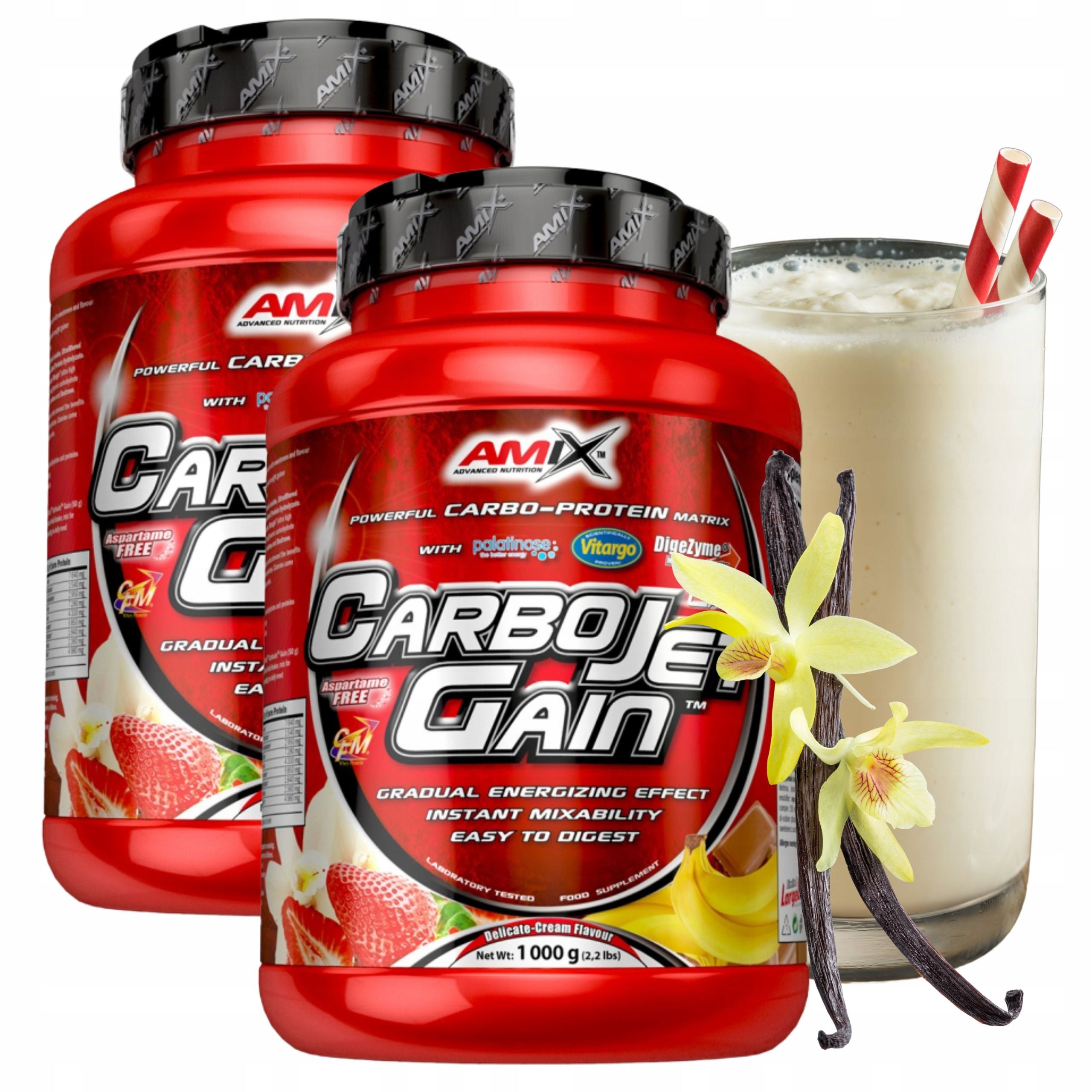 GAINER Muscle Mass Conditioner Protein CFM Carbohydrates Vanilla 2 x 1000g