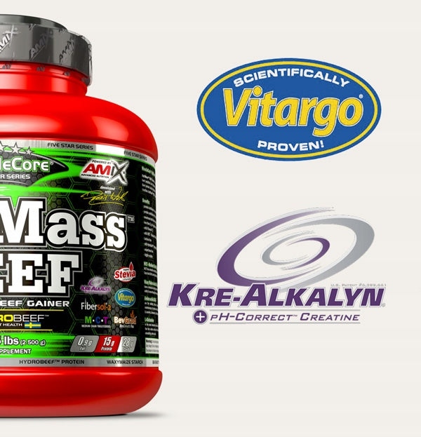 GAINER WITHOUT SUGAR without lactose - Beef protein 30% - Conditioner for mass Expiration date at least 1 year from the date of purchase