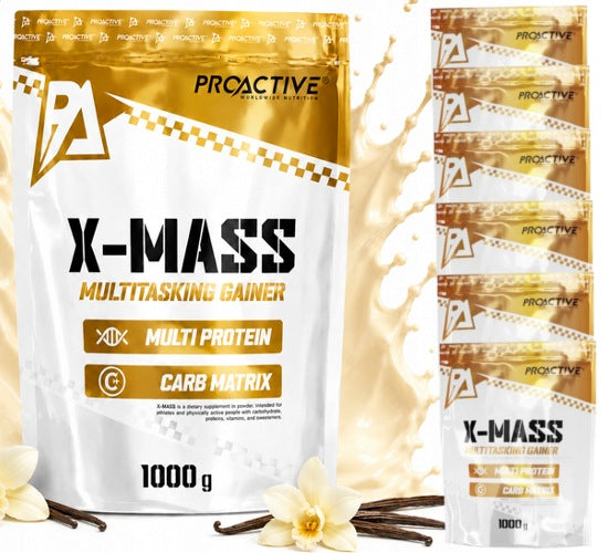 GAINER powder CARBOHYDRATE PROTEIN ProActive X-MASS Vanilla 1kg x 6 pcs.