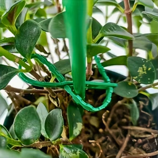 GARDEN BANDS FOR FASTENING PLANTS BRANCHES GREEN 60pcs 13cm 17cm 23cm Manufacturer code A381TZ11323