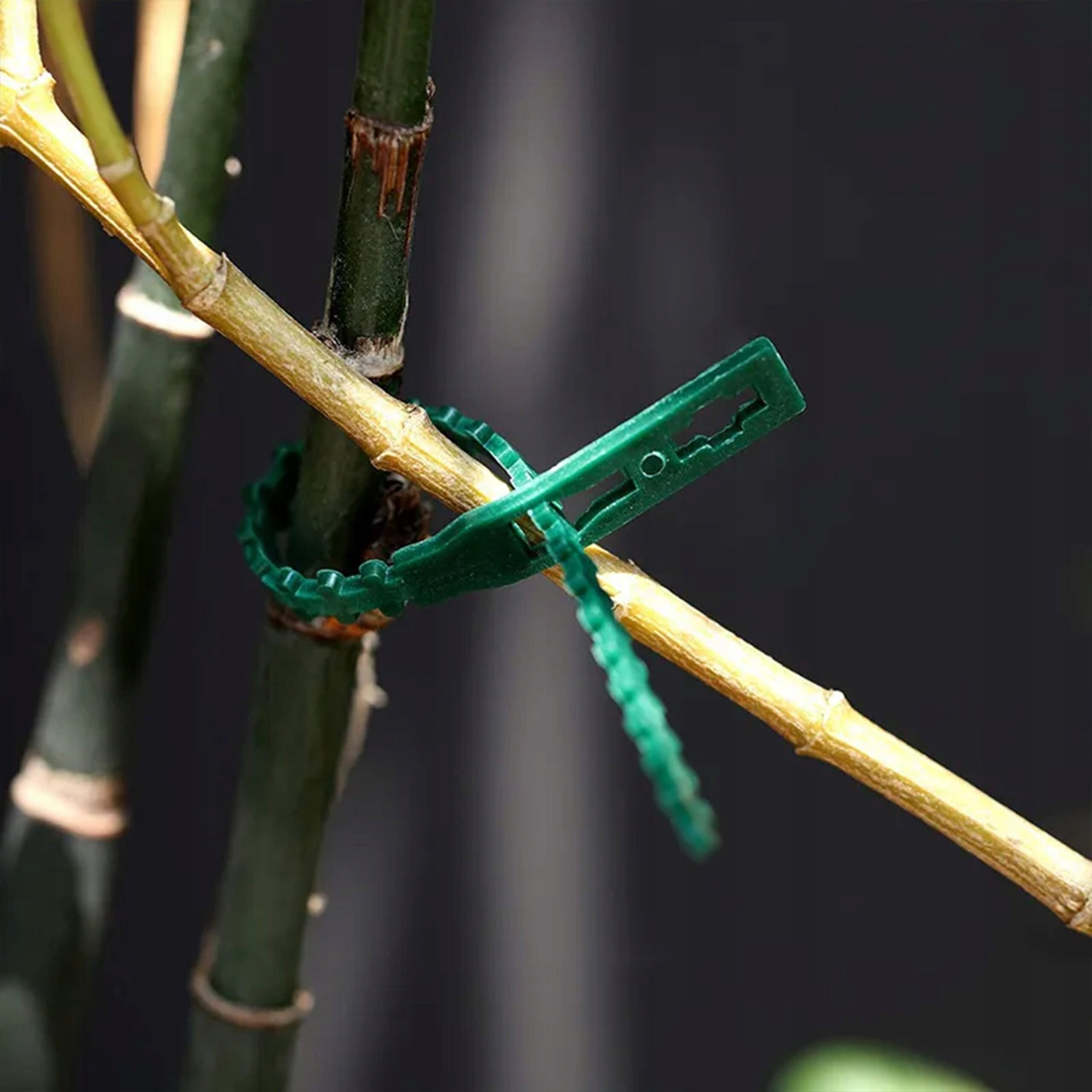 GARDEN BANDS FOR FASTENING PLANTS BRANCHES OF FLOWERS GREEN ADJUSTABLE 100PCS Number of pieces 100 pcs
