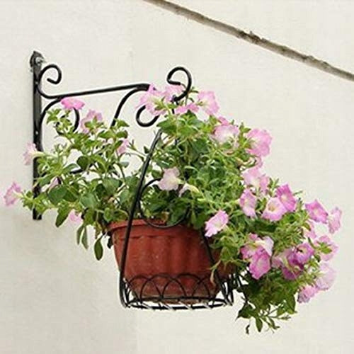 GARDEN HOOKS METAL BLACK FOR PLANTS FOR FENCE 30 CM 2 PCS Manufacturer code Bez marki
