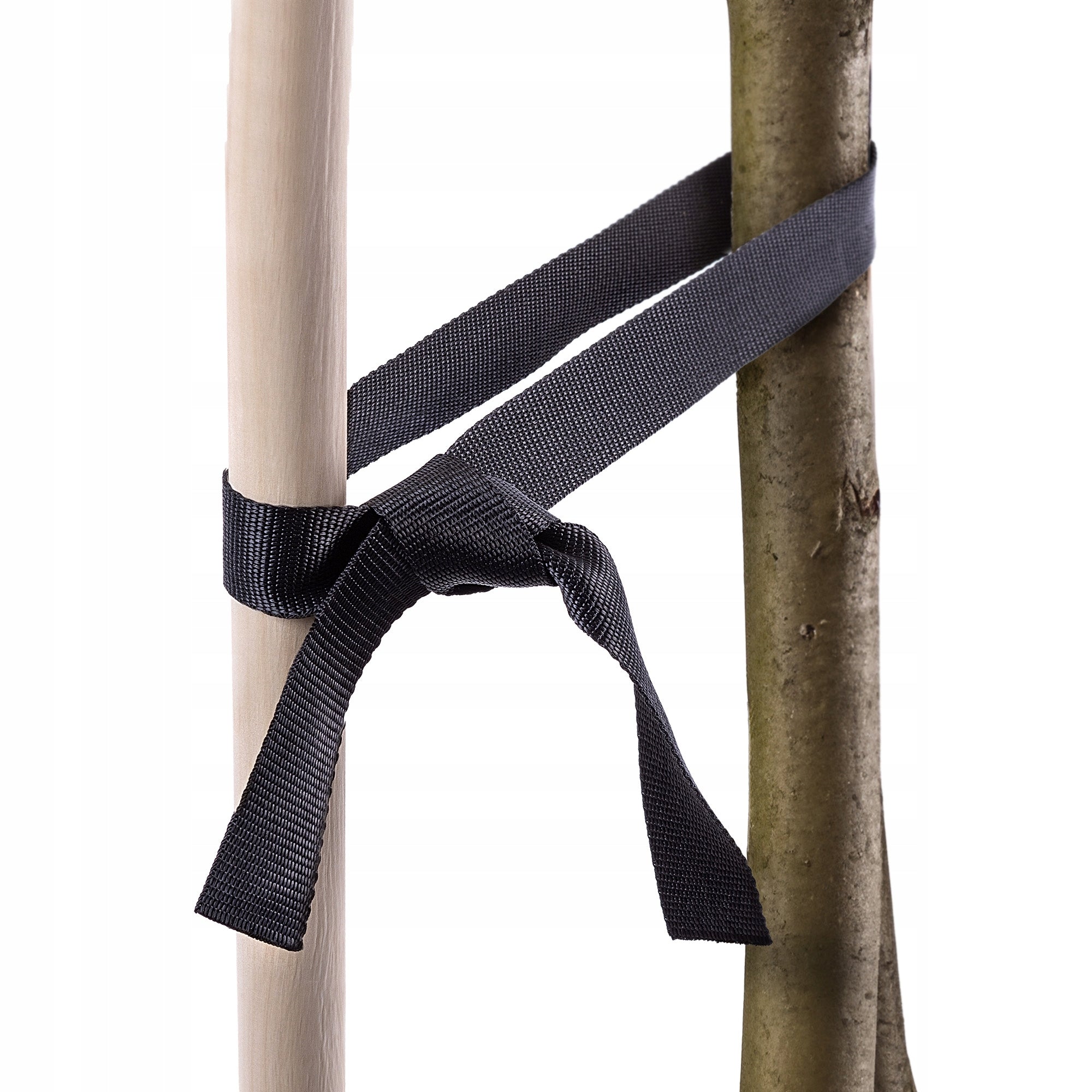 GARDEN TAPE FOR PLANT LIGATION 25mm/50m TREE TREES STRONG Product height 0.1 cm
