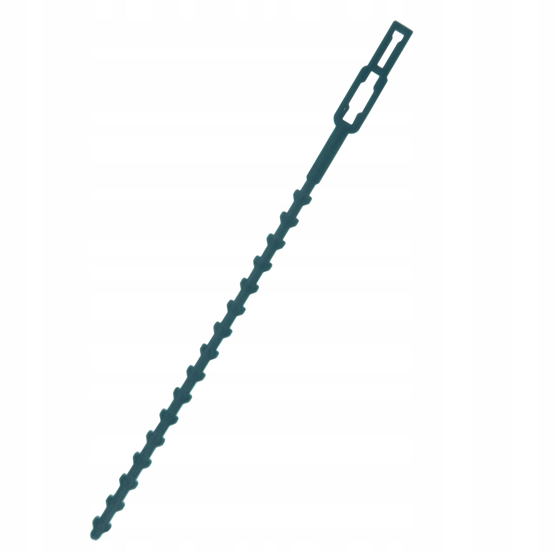 GARDENING BANDS FOR FASTENING PLANTS CLAMPING BRANCHES 50 PCS GREEN Dominant material plastic