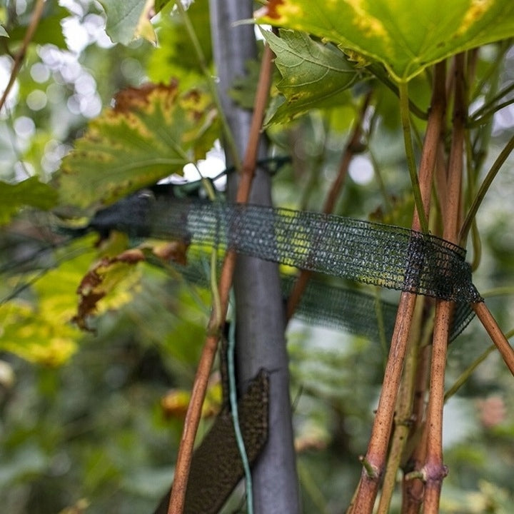 GARDENING TAPE FOR PLANT LIGATION 3cm x 50m TAPE FOR FIXING EAN (GTIN) 5906551282238