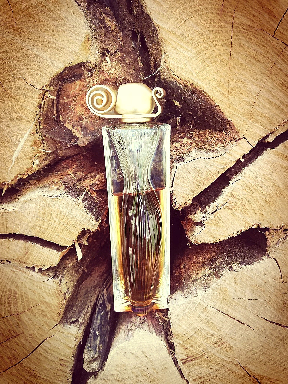 GIVENCHY ORGANZA EDP 100ML ORIGINAL Line other