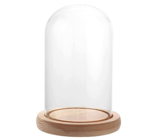 GLASS SHADE WITH WOODEN BASE BELL DECORATIVE GIFT wooden Brand no brand