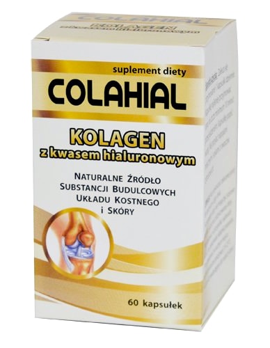 GORVITA Colahial Collagen Hyaluronic Acid Chondroitin 60 kaps