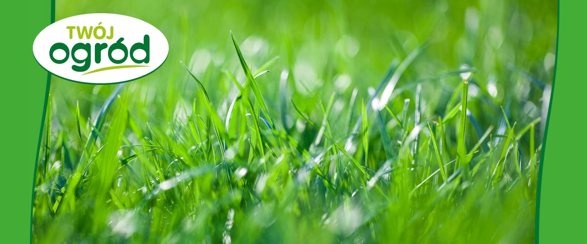 GRASS FERTILIZER FOR LAWN 1KG LONG-ACTING HELP FOR LAWNS FOR DROUGHTS Fertilizer type multicomponent