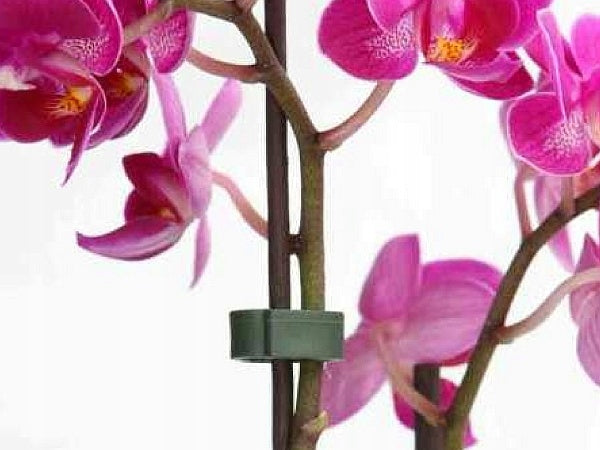 GREEN Toothed clip orchid shoot attachment 20pcs marina-comfort Manufacturer code Zębata