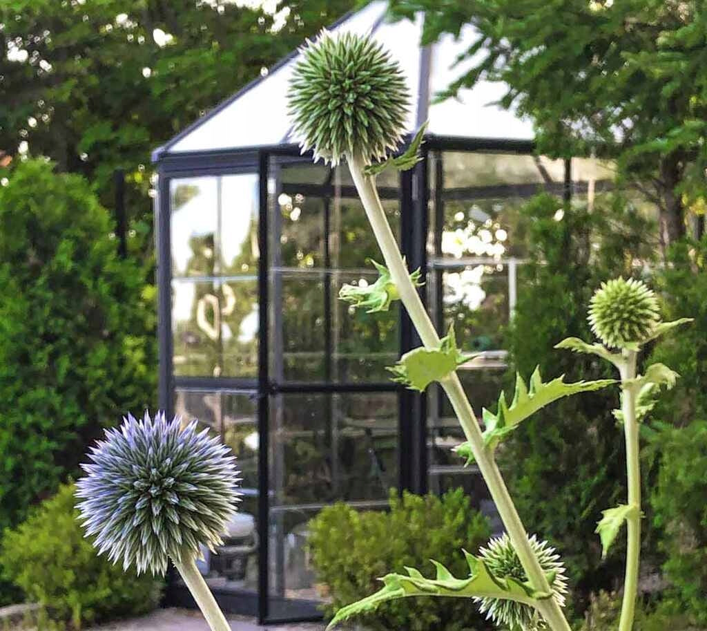 GREENHOUSE GARDEN WINTER GARDEN 2,5x2,5 PALRAM ALUMINUM POLYCARBONATE GREY Length 2.67 m