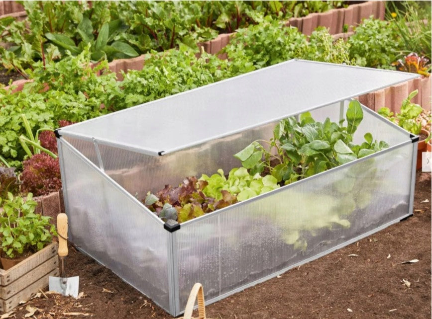 GREENHOUSE MINI INSPECT VEGETABLE HERBARIUM POLYWENGLAN ALUMINIUM 100x40x60cm Length 100 m