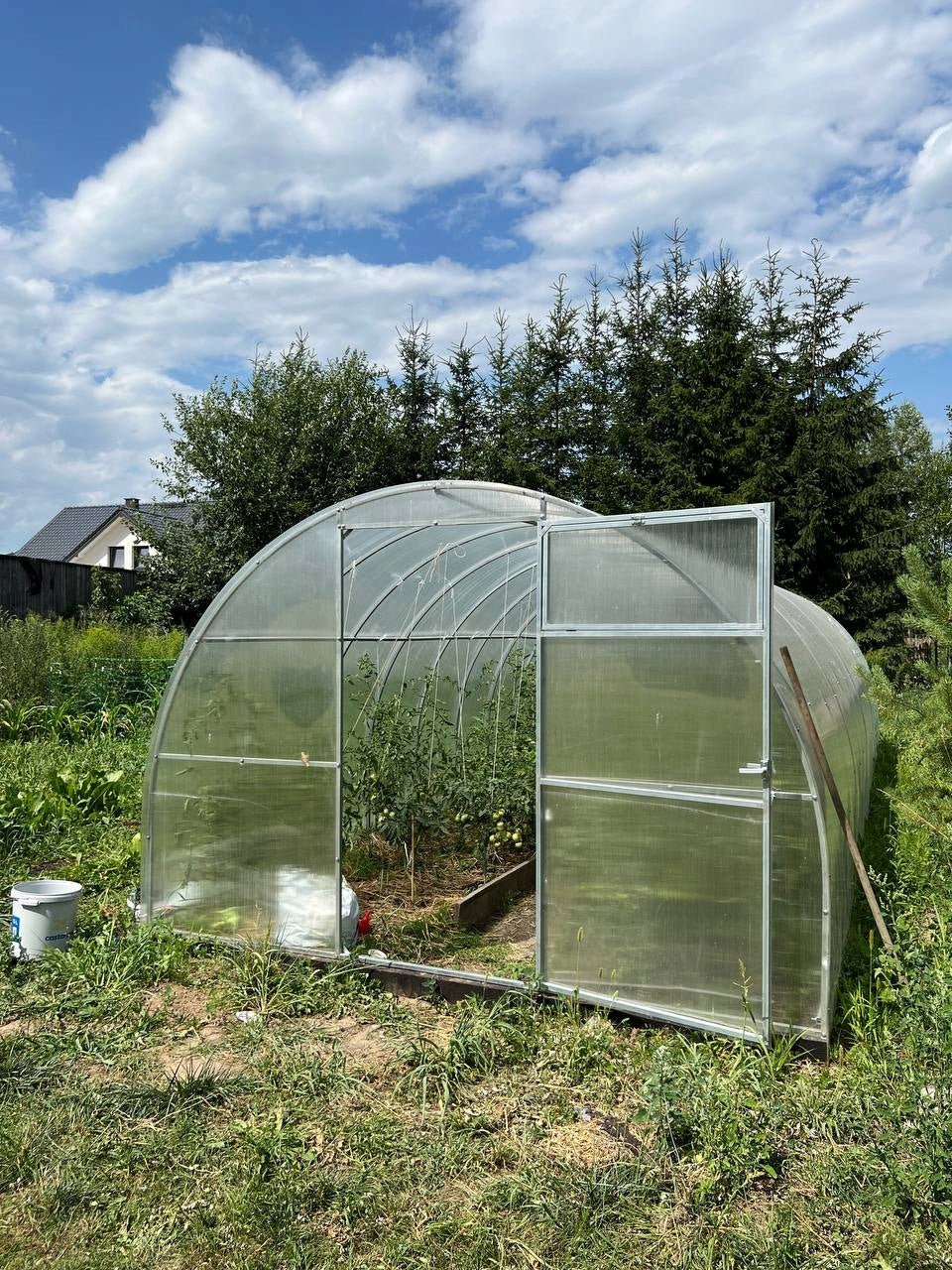 GREENHOUSE POLYCARBONATE STRAIGHT PLUS 3x6m 4mm 40x20 Product height 200 cm