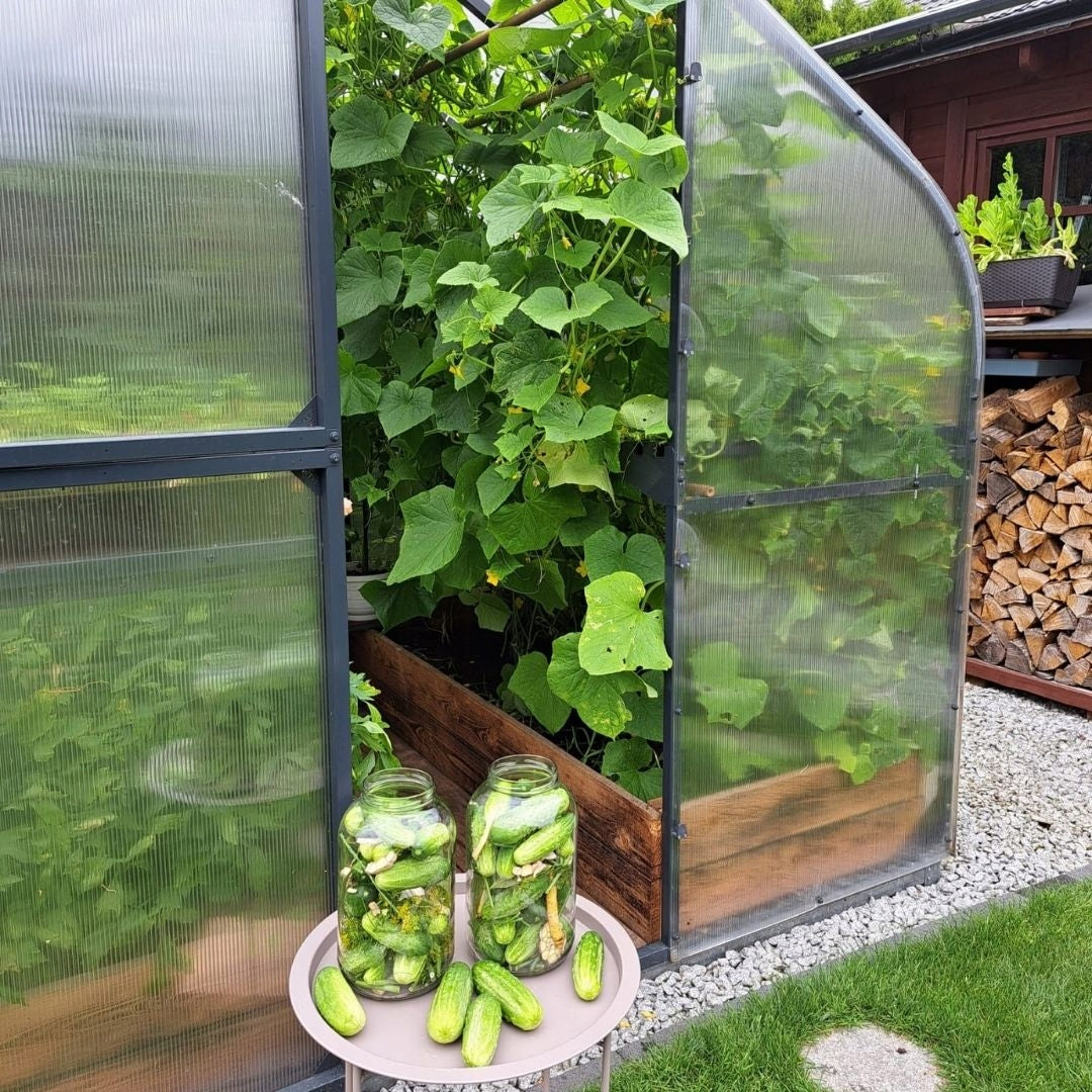 GREENHOUSE POLYCARBONATE TUNNEL 5M2 250X205 PTF POLAND ANTHRACITE GRAPHITE + WINDOW Length 2 m